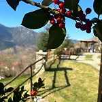 Penzion πέτρινο όραμα Kotronion (Trikala)