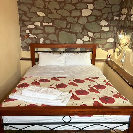 Gæstehus πέτρινο όραμα Kotronion (Trikala)