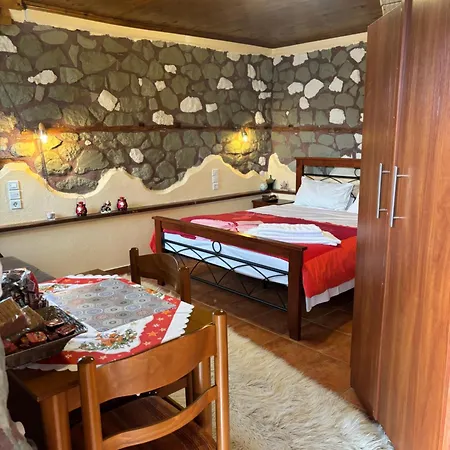 Maison d'hôtes πέτρινο όραμα 4*