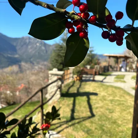 Guest house πέτρινο όραμα Kotronion (Trikala)