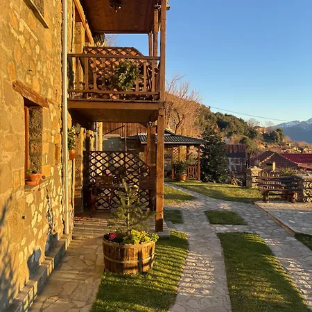 πέτρινο όραμα Πανσιόν Kotronion (Trikala)