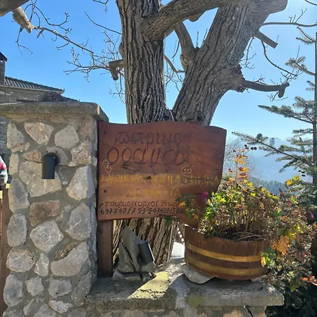 Guest house πέτρινο όραμα *
