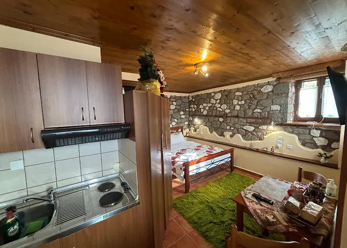 Maison d'hôtes πέτρινο όραμα Kotronion (Trikala)