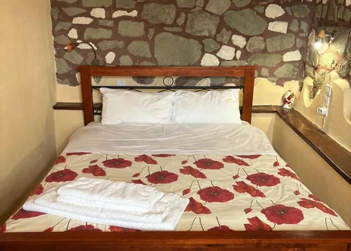 ゲストハウス πέτρινο όραμα Kotronion (Trikala)