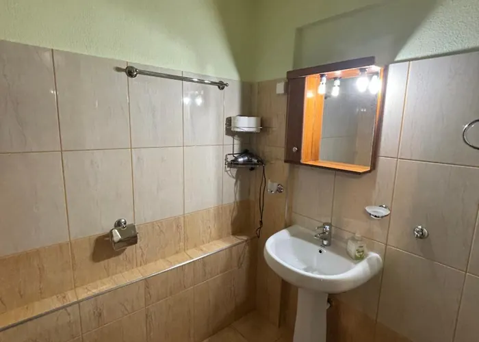 πέτρινο όραμα Guest house Kotronion (Trikala)