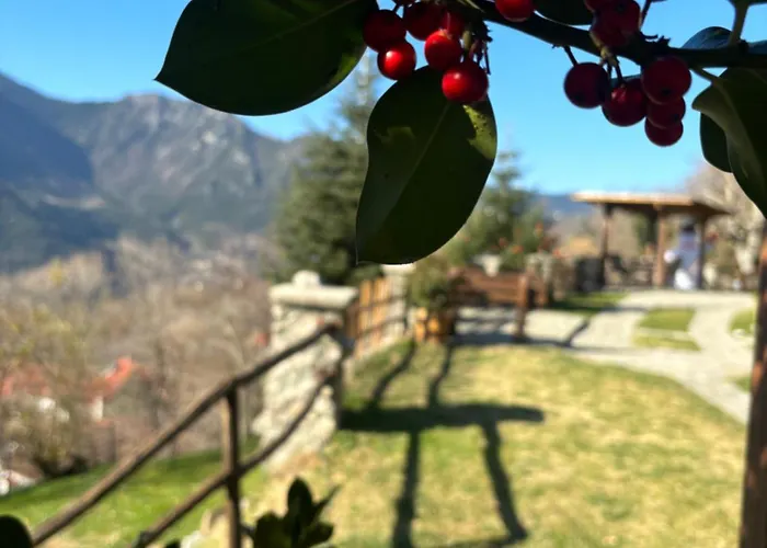 Maison d'hôtes πέτρινο όραμα Kotronion (Trikala)