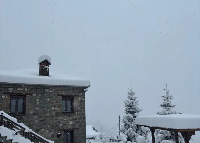 πέτρινο όραμα Guest house Kotronion (Trikala)